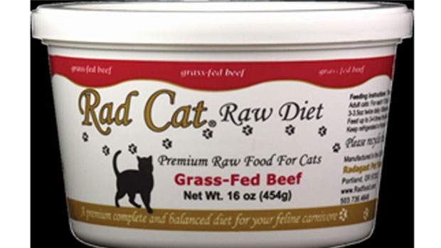 Cats Diet Raw Meat