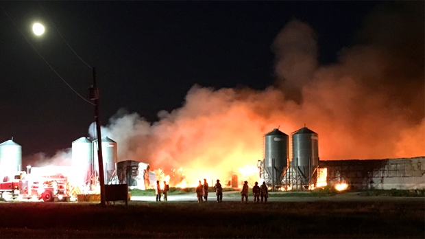 Thousands of pigs die in New Bothwell barn fire