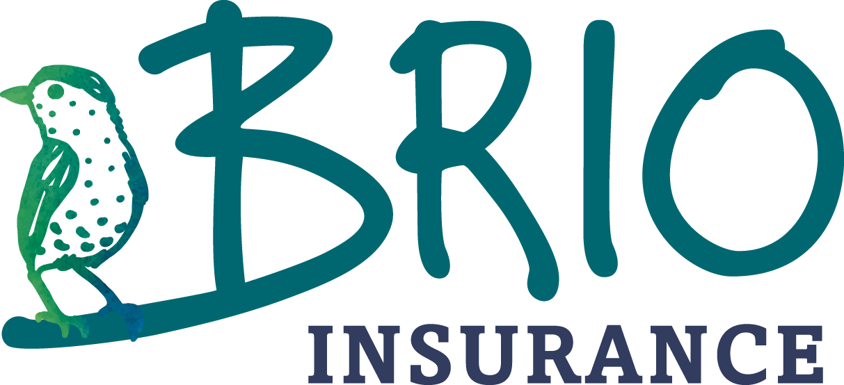 Brio insurance