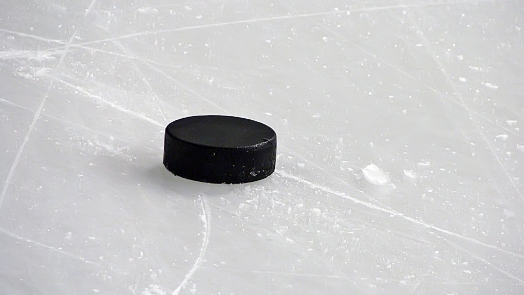 A hockey puck is seen in this undated image. (Vladislav Gajic/shutterstock.com)