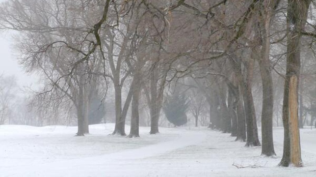 File image of a snowy day in Manitoba.