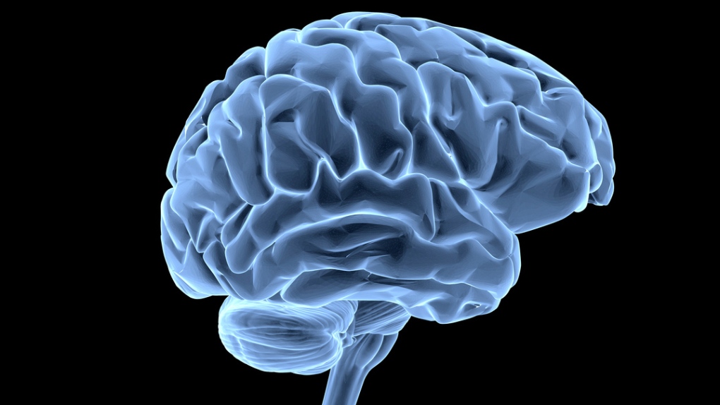The human brain is pictured in this file photo. (goa_novi / Istock.com)