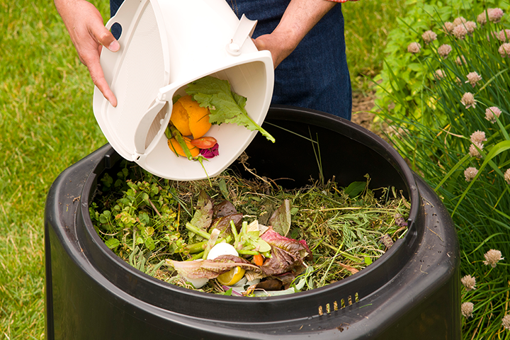 위니펙 시는 퇴비화(composting)에 더 쉽게 접근할 수 있도록 프로그램을 시작해