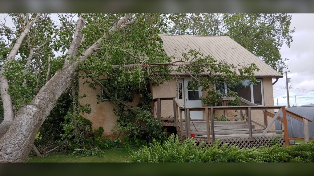 Large tree damages house roof in Pilot Mound after strong winds on June 11 (Source: Elaine Popplestone)