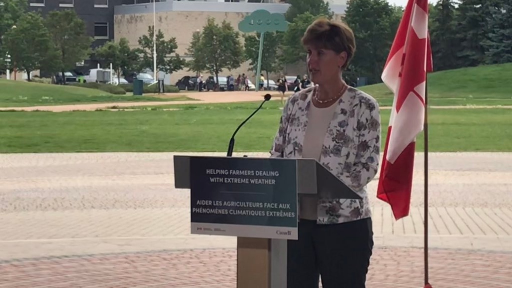 Marie-Claude Bibeau making an announcement to help farmers and ranchers in Manitoba. July 22, 2021. (Source: Josh Crabb/CTV News)
