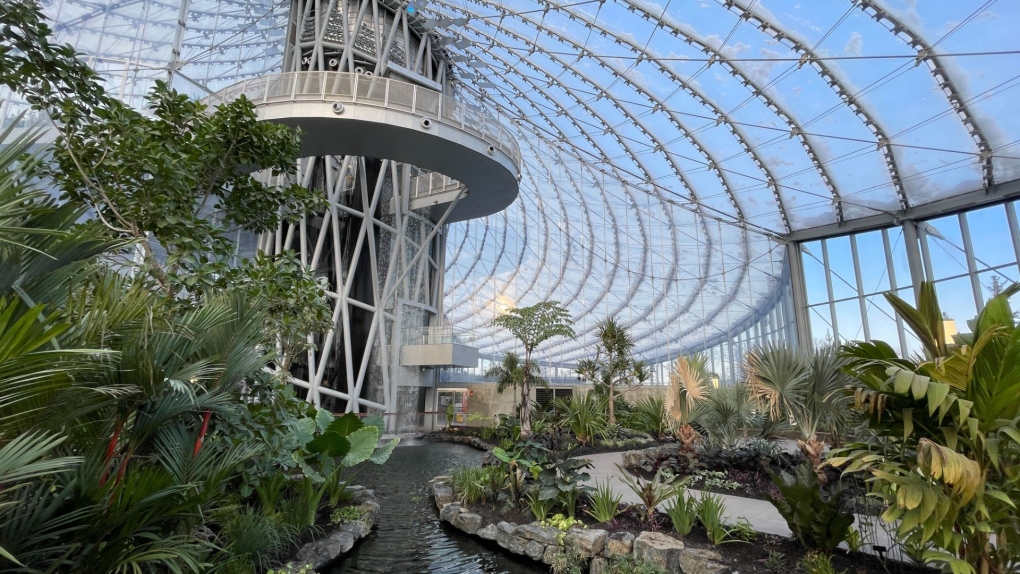 The Hartley and Heather Richardson Tropical Biome includes a 60-foot waterfall, which Dieleman said will enhance the tropical experience. (Source: Zach Kitchen, CTV News)