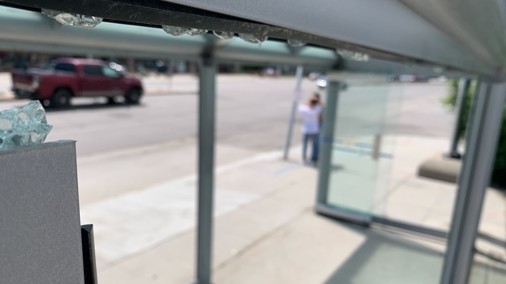 Winnipeg Transit is getting hit hard with vandalism this year, with the glass on some bus shelters smashed and shattered just days after being replaced.