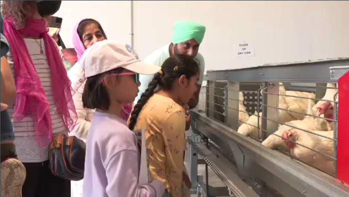 It was the first annual Discover the Farm, a new hands-on event celebrating where our food comes from. The event is part of the province’s Farm and Food Awareness Week. (Source: Zach Kitchen, CTV News Winnipeg)