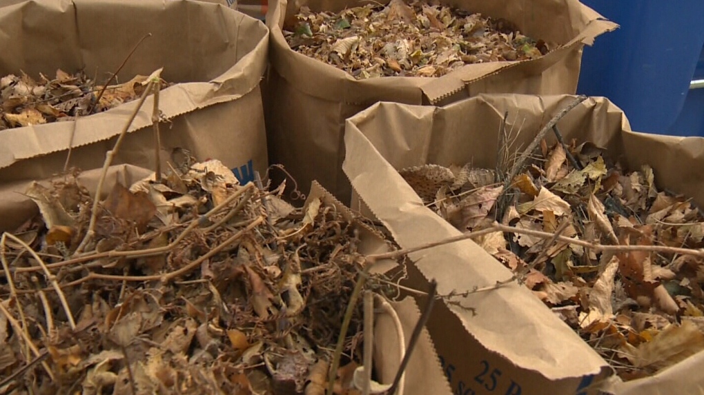 Looming end to yard waste collection