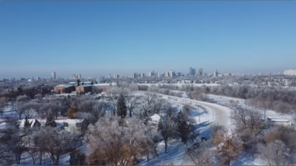 A flyover shot of Winnipeg's tree canopy on Feb. 9, 2023. (Source: Jamie Dowsett/CTV News)