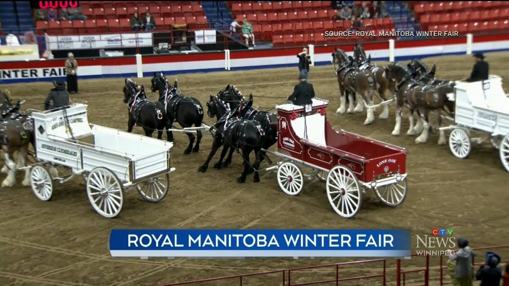 Brandon's winter fair wraps up