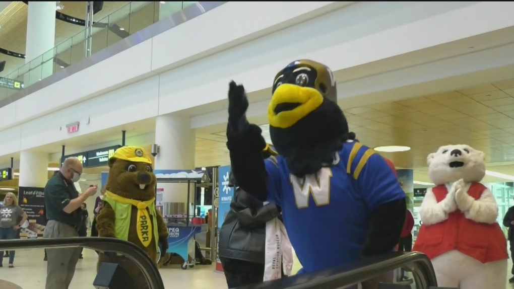 Gaggle of mascots descend on Winnipeg airport