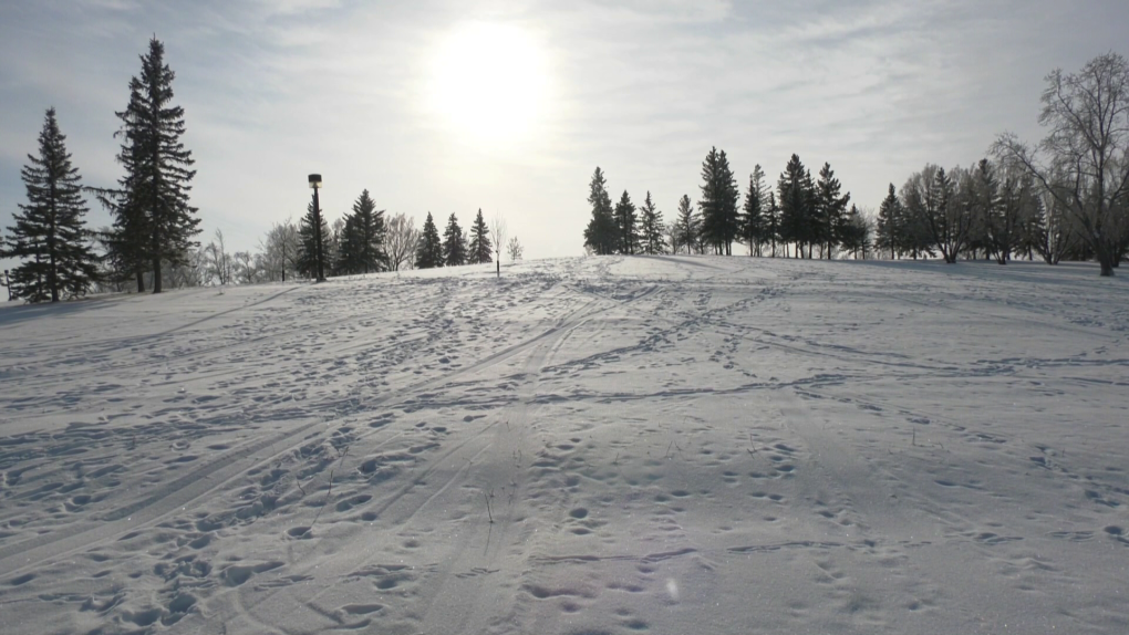 Snow Money, Snow Problems – Dear Winnipeg