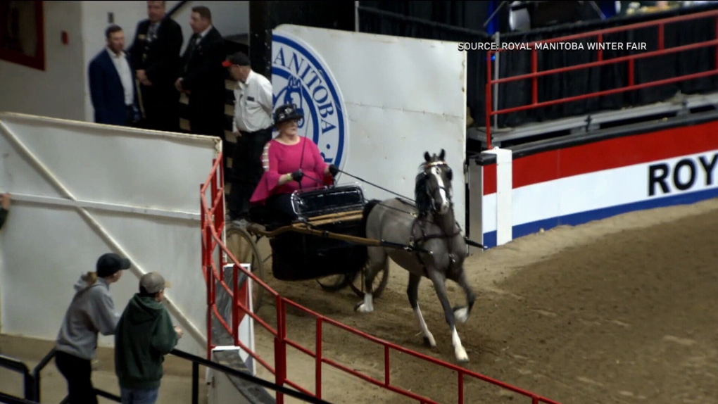 Royal Manitoba Winter Fair returns to Brandon