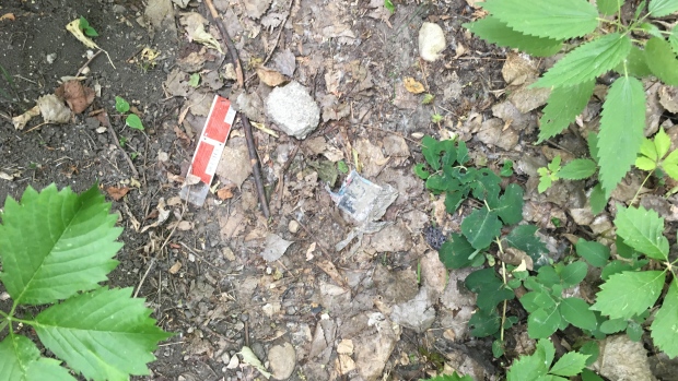Discarded needle wrappers litter the ground.