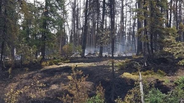 Lynn Lake Fire