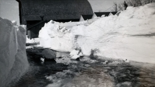 1966 Blizzard