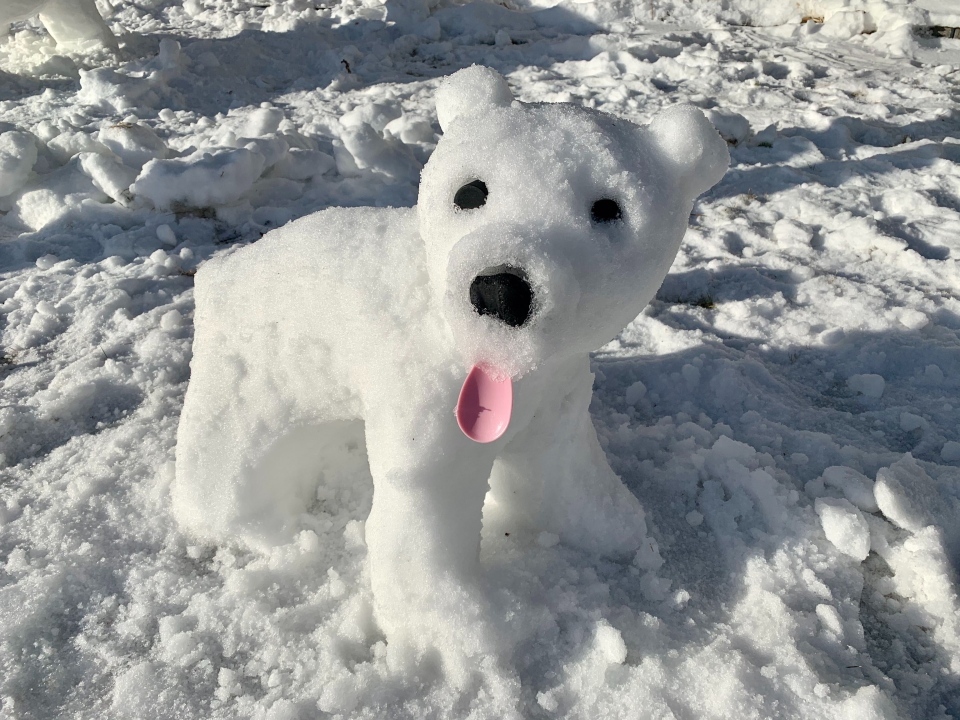 Polar bear sculpture