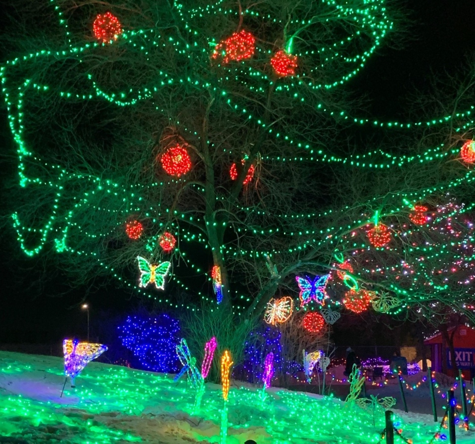 Zoo Lights dazzle in opening night sellout CTV News
